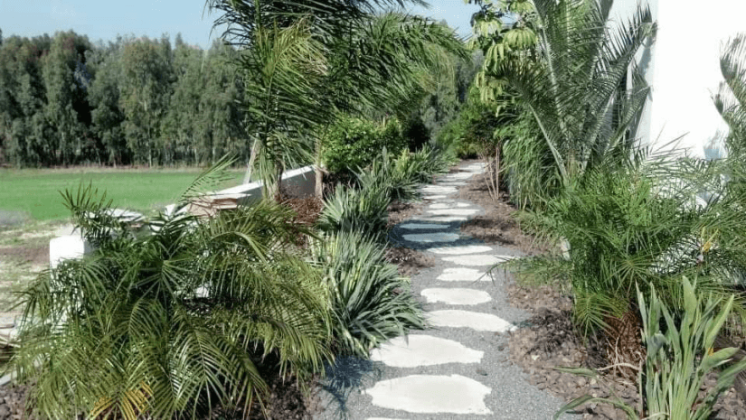 יצירת שביל גישה לגינה